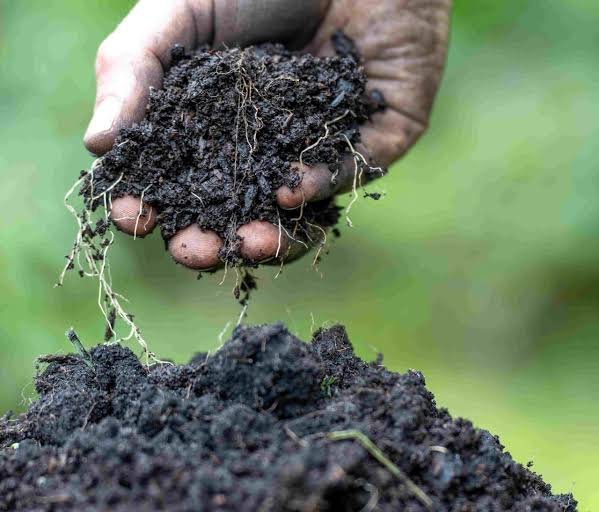 The Problem Isn't Carbon. The Problem Is Wasting It.